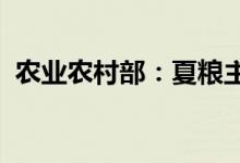 农业农村部：夏粮主产区小麦收获已过七成