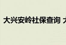 大兴安岭社保查询 大兴安岭个人社保卡查询