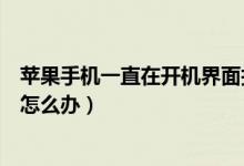 苹果手机一直在开机界面打不开（苹果手机一直在开机界面怎么办）