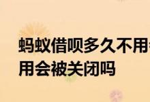 蚂蚁借呗多久不用会被关闭 蚂蚁借呗长期不用会被关闭吗