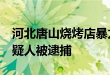 河北唐山烧烤店暴力殴打他人案件9名犯罪嫌疑人被逮捕