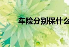 车险分别保什么的 车险到底保什么