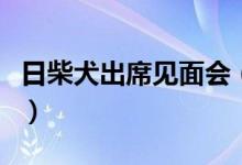 日柴犬出席见面会（纯种柴犬大概多少钱一只）