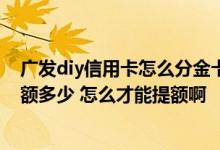 广发diy信用卡怎么分金卡还是普卡 广发信用卡金卡最高提额多少 怎么才能提额啊