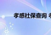 孝感社保查询 孝感个人社保卡查询