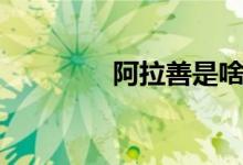 阿拉善是啥（阿拉善是啥）