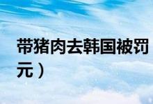 带猪肉去韩国被罚（带猪肉去韩国可罚款6万元）