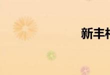 新丰村（新丰）