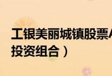 工银美丽城镇股票A基金怎么样（基金有哪些投资组合）