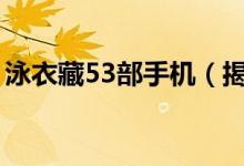 泳衣藏53部手机（揭全球最贵的手机排行榜）