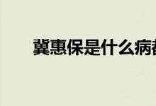 冀惠保是什么病都保吗 冀惠保是什么