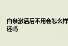 白条激活后不用会怎么样 激活白条有什么后果 首次用需要还吗