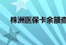 株洲医保卡余额查询 株洲医疗保险查询