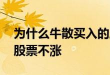 为什么牛散买入的股票不涨 为什么有牛散的股票不涨