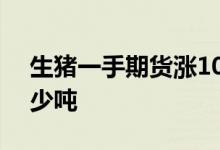 生猪一手期货涨100点赚多少钱 生猪一手多少吨
