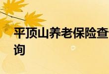 平顶山养老保险查询 平顶山个人养老保险查询