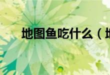 地图鱼吃什么（地图鱼吃颗粒饲料吗）