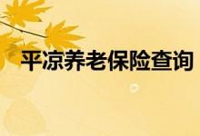 平凉养老保险查询 平凉个人养老保险查询