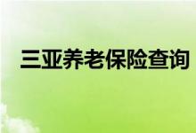 三亚养老保险查询 三亚个人养老保险查询