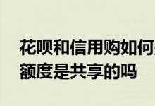 花呗和信用购如何叠加使用 信用购和花呗的额度是共享的吗