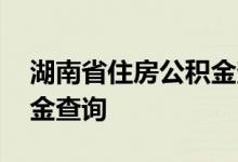 湖南省住房公积金查询 湖南省个人住房公积金查询