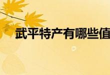 武平特产有哪些值得带回家（武平特产）