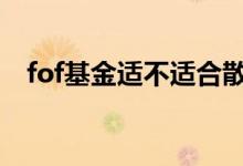 fof基金适不适合散户 fof基金适合散户吗