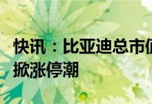 快讯：比亚迪总市值突破万亿汽车产业链个股掀涨停潮