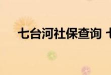 七台河社保查询 七台河个人社保卡查询