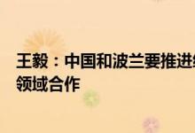 王毅：中国和波兰要推进经贸、科技、环保、能源、数字等领域合作