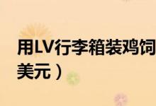 用LV行李箱装鸡饲料（LV行李箱价值达10万美元）