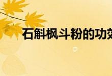 石斛枫斗粉的功效与作用（石斛枫斗）