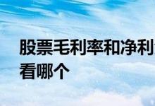 股票毛利率和净利润率 股票毛利率和净利润看哪个