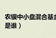农银中小盘混合基金赚钱吗（该基金现任经理是谁）
