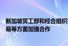 新加坡贸工部和经合组织签署备忘录：将在供应链、数码贸易等方面加强合作
