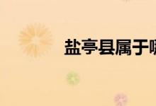 盐亭县属于哪个市（盐亭县）