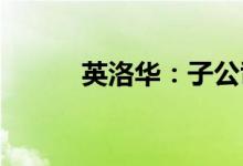 英洛华：子公司英洛华装备停产