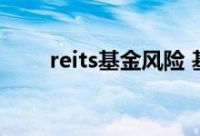 reits基金风险 基金风险大小怎么看