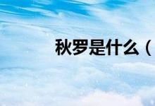 秋罗是什么（秋罗是什么植物）