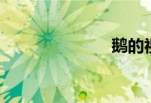 鹅的视频（鹅）