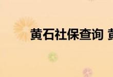 黄石社保查询 黄石个人社保卡查询