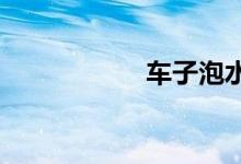 车子泡水后怎么定损