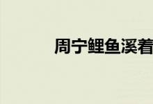 周宁鲤鱼溪着火（周宁鲤鱼溪）
