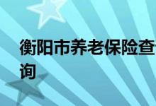 衡阳市养老保险查询 衡阳市个人养老保险查询