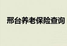 邢台养老保险查询 邢台个人养老保险查询