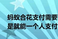 蚂蚁合花支付需要对方同意吗 蚂蚁合花是不是就能一个人支付