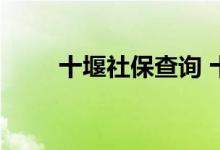 十堰社保查询 十堰个人社保卡查询