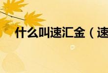 什么叫速汇金（速汇金汇款一般指什么）