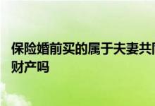 保险婚前买的属于夫妻共同财产吗 婚前购买保险算夫妻共同财产吗