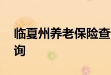 临夏州养老保险查询 临夏州个人养老保险查询